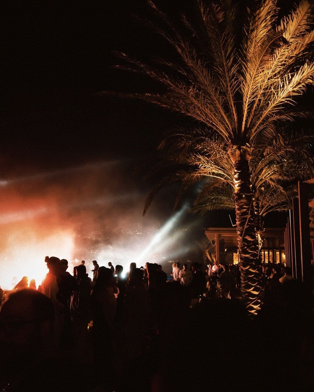 Beach club at night, palm tree and stage light